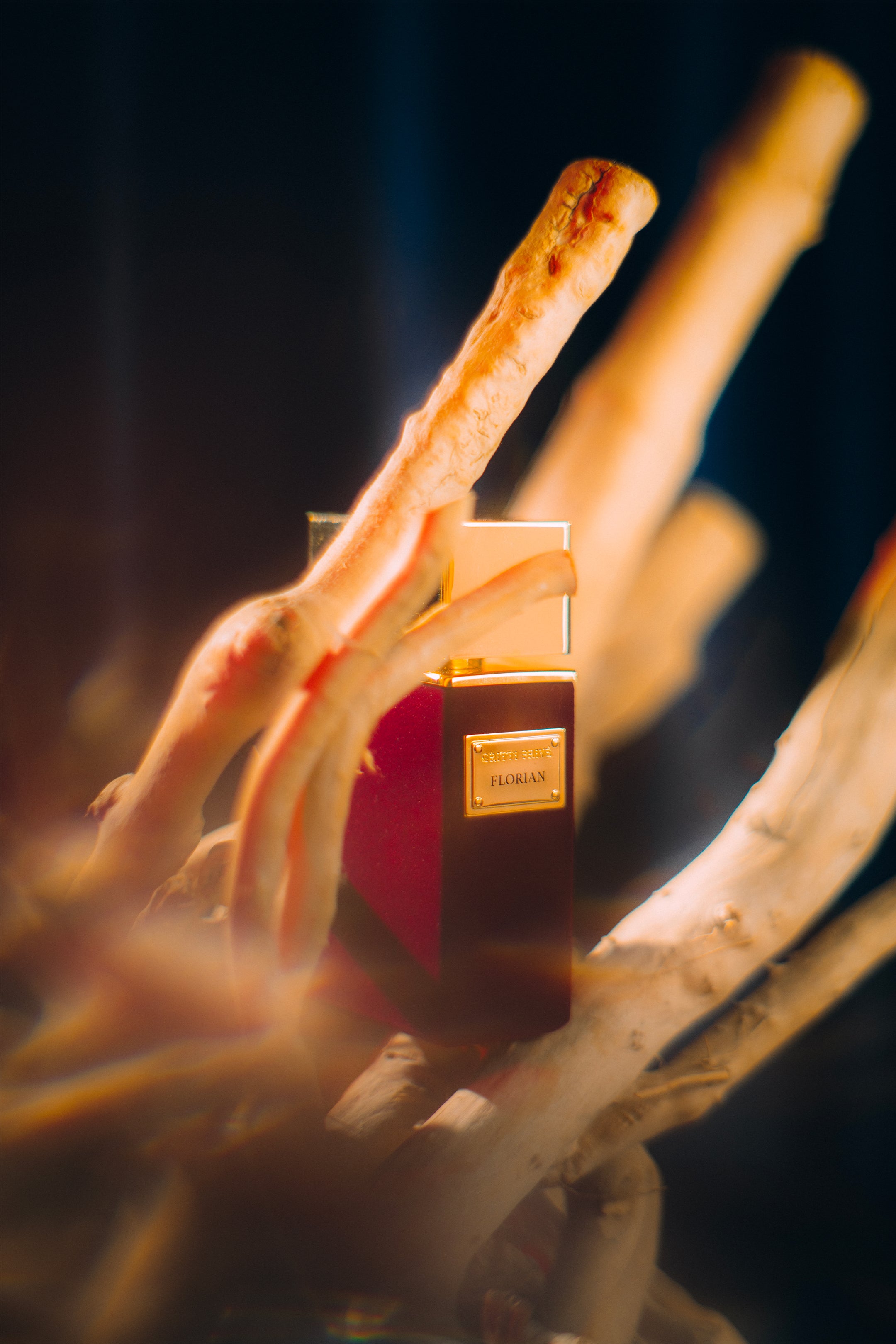 Gritti Privè Florian extrait de parfum 100 ml oud rose