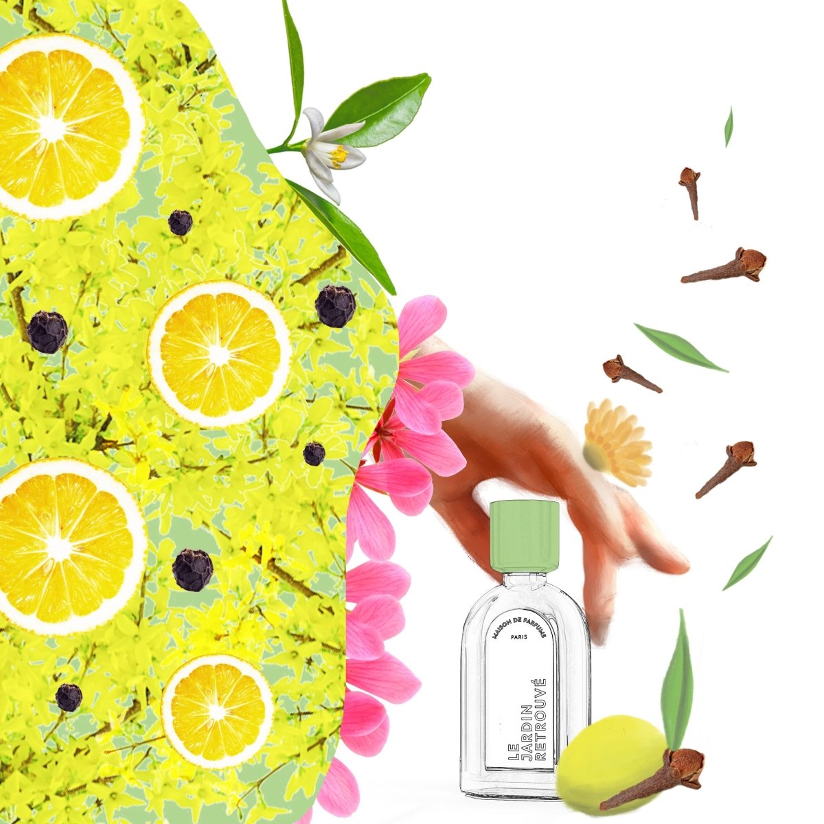 Le Jardin Retrouvé Citron Boboli eau de parfum 2 ml hespéridé épicé